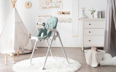 Functional 2-in-1 Highchair - Jade