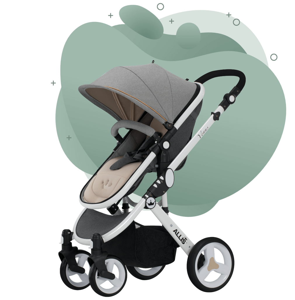 Allis plume store pushchair grey